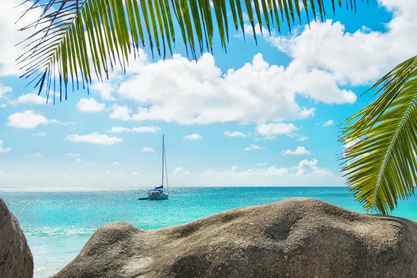 Tropischer Strand mit Jacht und Palmenblättern. anse georgette, prasl — Stockfoto