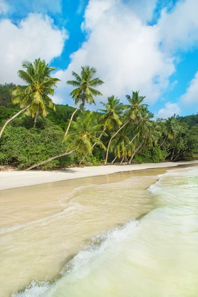 Tropisch strand baie lazare, Seychellen — Stockfoto