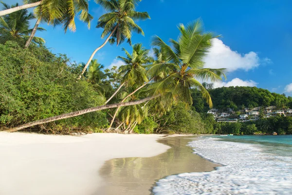 Tropical beach Baie Lazare at island Mahe — Stock Photo, Image