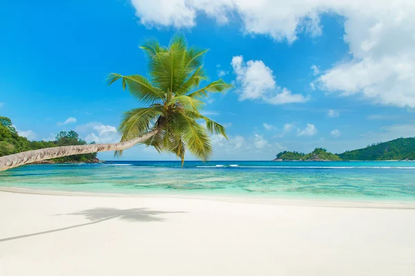 Tropisk strand baie lazare, Seychellerna — Stockfoto