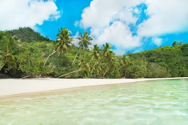 Тропічний пляж бухти Лазар, Сейшельські острови Ліцензійні Стокові Фото