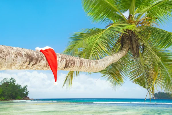 Red Santa hat on palm tree — Stock Photo, Image