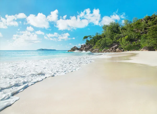 Tropical beach — Stock Photo, Image