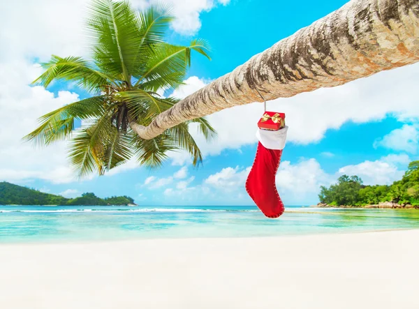 Рождественский носок с подарком — стоковое фото