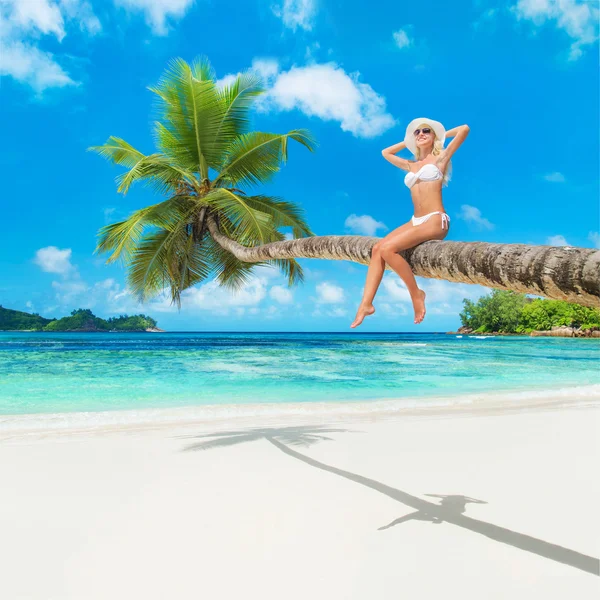 Leuke vrouw bij palm tree — Stockfoto