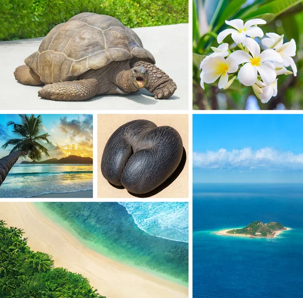 Seychelles scenic views — Stock Photo, Image