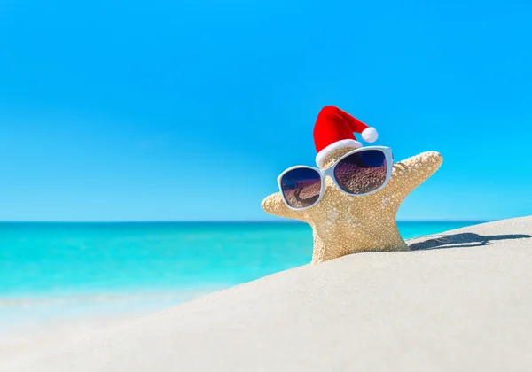 Étoile de mer en lunettes de soleil et chapeau de Père Noël — Photo