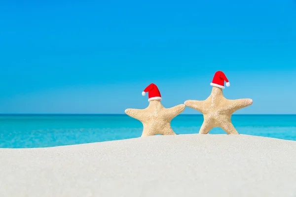 Estrellas del mar en sombreros rojos de Santa —  Fotos de Stock