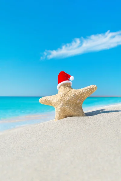 Sea-star in red santa hat — Stock Photo, Image