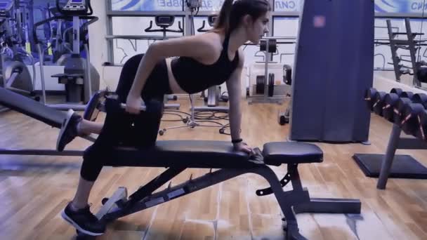 Fille Modèles Fitness Trains Avec Haltères Dans Salle Gym — Video