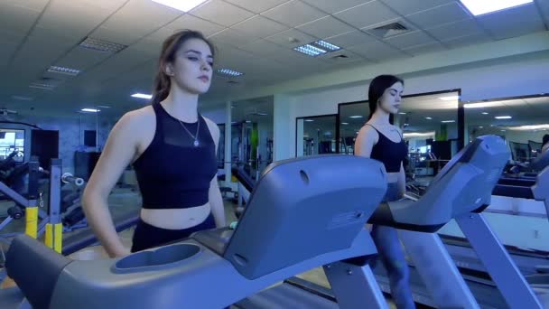Der Turnhalle Laufen Zwei Schöne Mädchen Auf Laufbändern Zeitlupe — Stockvideo