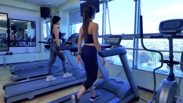 Las Figuras Dos Chicas Gimnasio Ejercitándose Los Simuladores Cinta Correr — Vídeos de Stock