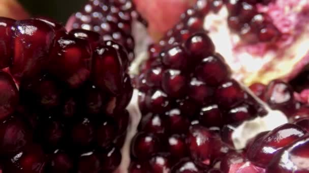 Opened Pomegranate Seeds Close — Stock Video