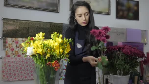 Çiçekçi Genç Güzel Kadın Kasımpatı Saplarını Inceliyor — Stok video