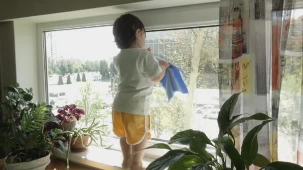 Ett Barn Står Fönsterbrädan Och Torkar Fönstret Med Servett — Stockvideo