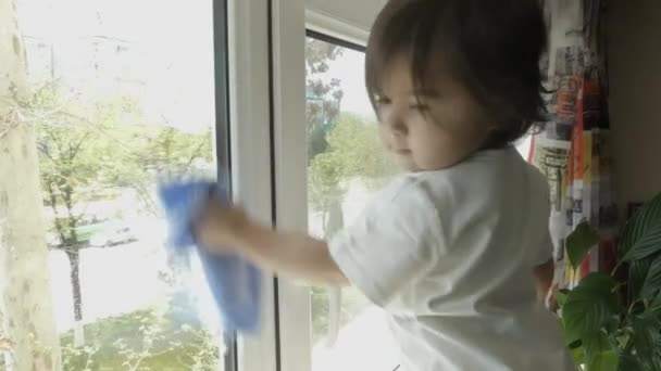 Niño Limpia Cristal Ventana Con Una Servilleta — Vídeos de Stock