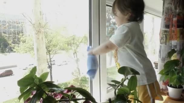 小さな子供が窓ガラスをラグで拭き取る — ストック動画