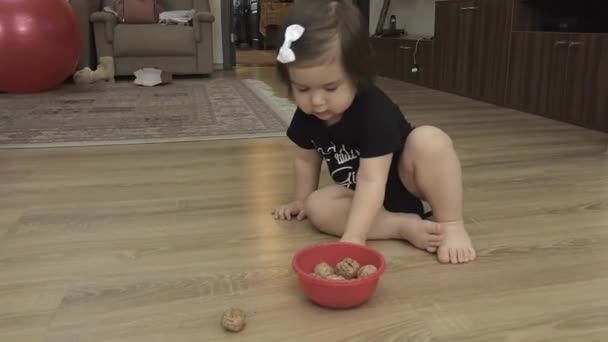 一个小孩坐在房间的地板上 把核桃放进一个碗里 — 图库视频影像