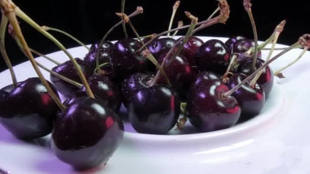 Unas Cuantas Cerezas Maduras Frescas Granja Una Bandeja Blanca Spinning — Vídeos de Stock