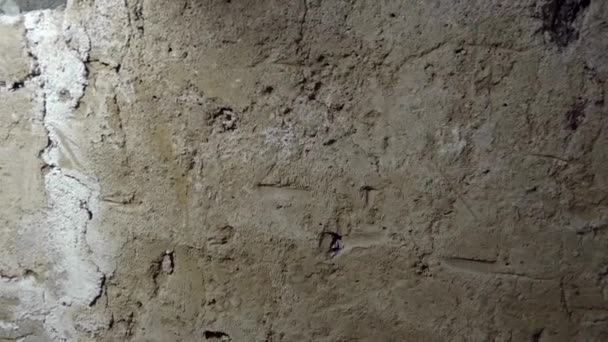 Глиняна Стіна Підвалу Необроблена Глиняна Стіна Винному Підвалі — стокове відео
