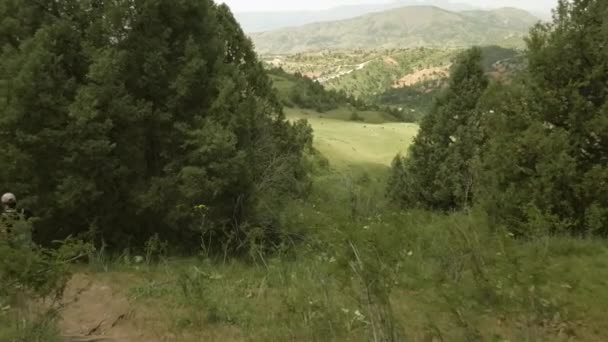 Silhouette Randonneur Longe Sentier Montagne Dans Une Prairie Alpine Premier — Video