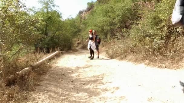 Par Excursionistas Están Caminando Por Camino Montaña Dos Jóvenes Excursionistas — Vídeo de stock