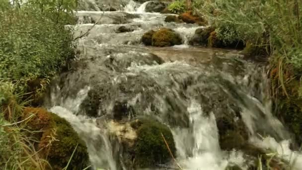 Een bergrivier stroomt over met mos bedekte rotsen. — Stockvideo