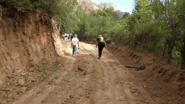 Una caminata de verano en las montañas — Vídeos de Stock