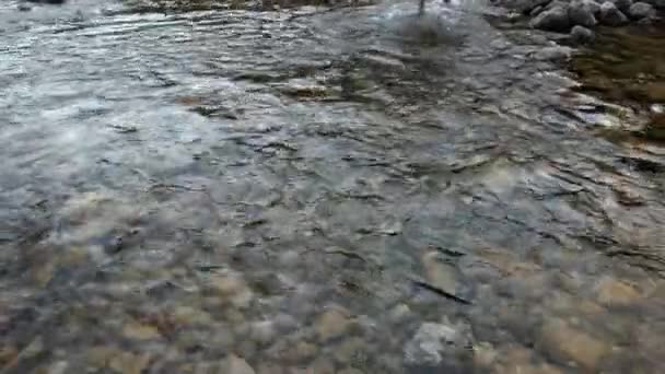 Турист пробирается через горную реку. — стоковое видео
