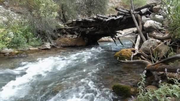 Uma velha ponte de madeira torta sobre um rio de montanha turbulento. — Vídeo de Stock