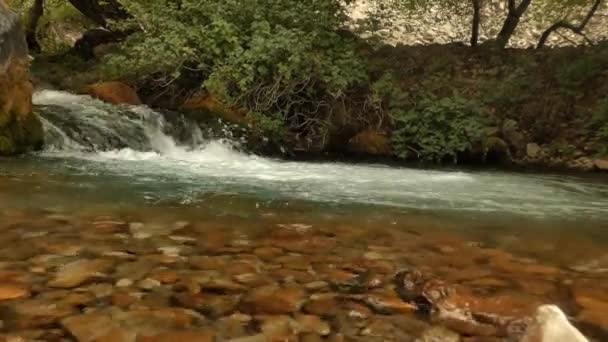 He mountain stream overflows over the rocks — Stock Video