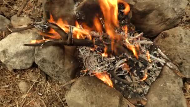 Ein Lagerfeuer brennt auf dem trockenen, mit Steinen bedeckten Boden — Stockvideo