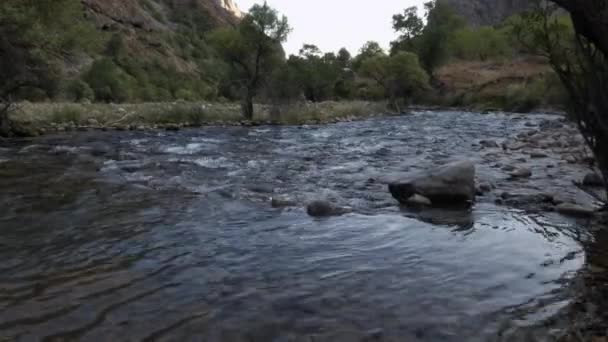 山の川は浅い水にこぼれた。. — ストック動画
