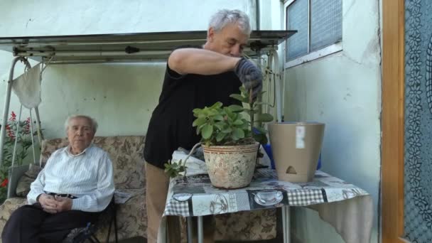 Un hombre está trabajando en una planta en maceta. — Vídeos de Stock