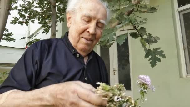 Ritratto di nonno che si prende cura dei fiori nel suo cortile. — Video Stock