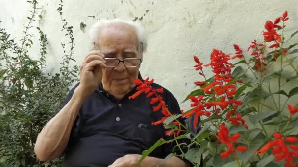 一个非常老的人在看萨尔维亚的花. — 图库视频影像