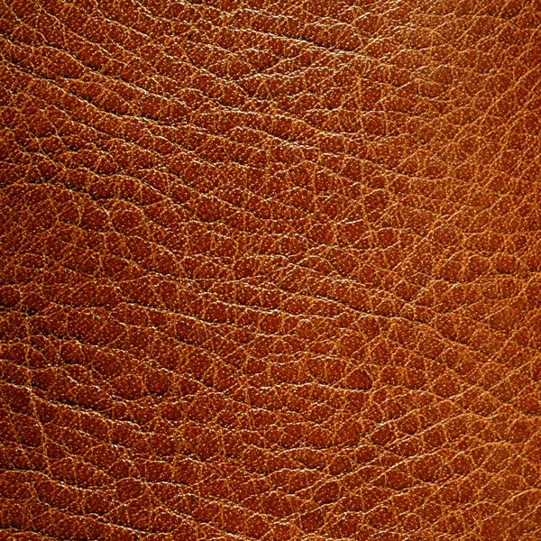 Brown leather — Stock Photo, Image