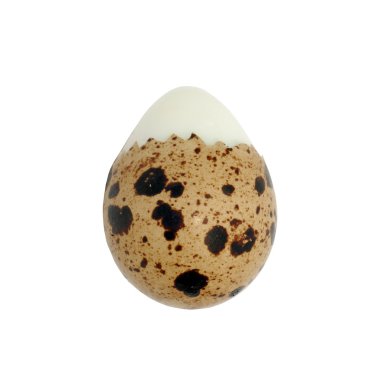 Bıldırcın yumurta