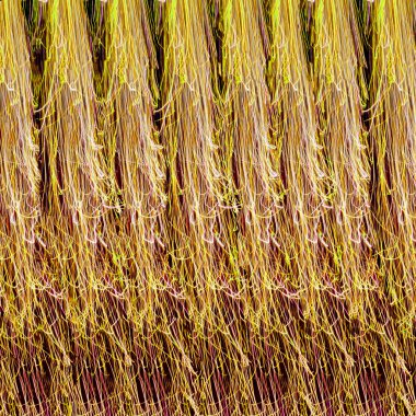 Soyut sarı havai fişek