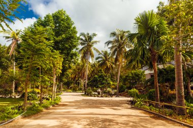 Suoi Tranh şelale ve park yakınındaki Duongdong şehir, Phuquoc Adası, Vietnam