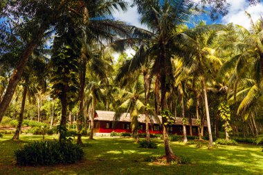 Suoi Tranh şelale ve park yakınındaki Duongdong şehir, Phuquoc Adası, Vietnam