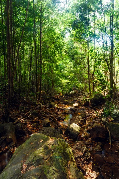 Suoi tranh Wasserfall und Park in der Nähe der Stadt Duongdong, Phuquoc Island, Vietnam — Stockfoto