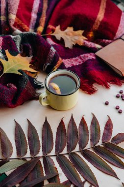 Soğuk bir günde limonlu çay, boşluğu kopyala