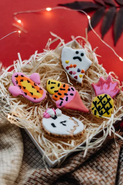 Halloween Concept Cookies Colorful Background — Stock Photo, Image