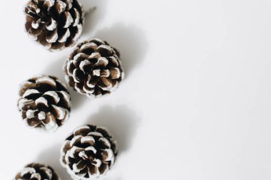 Close up of pine cones isolated on white, copy space