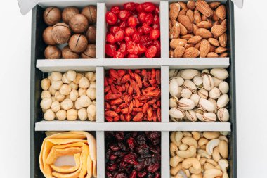 Fındık çeşitlerinin toplanması