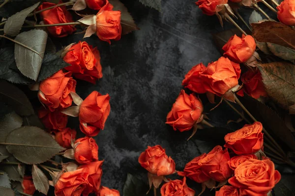 Top View Red Roses Isolated Black — Stock Photo, Image