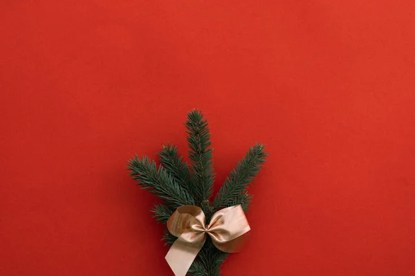 Zblízka Pohled Větev Jedle Vánoční Nálada Pozadí — Stock fotografie