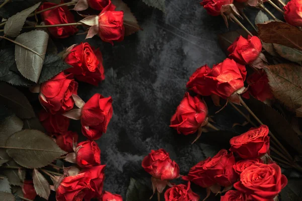 Roses Rouges Sur Fond Noir — Photo