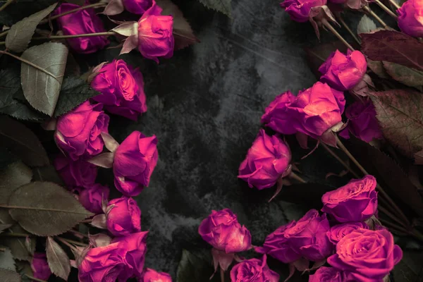 Ramo Rosas Rosadas Sobre Fondo Negro —  Fotos de Stock